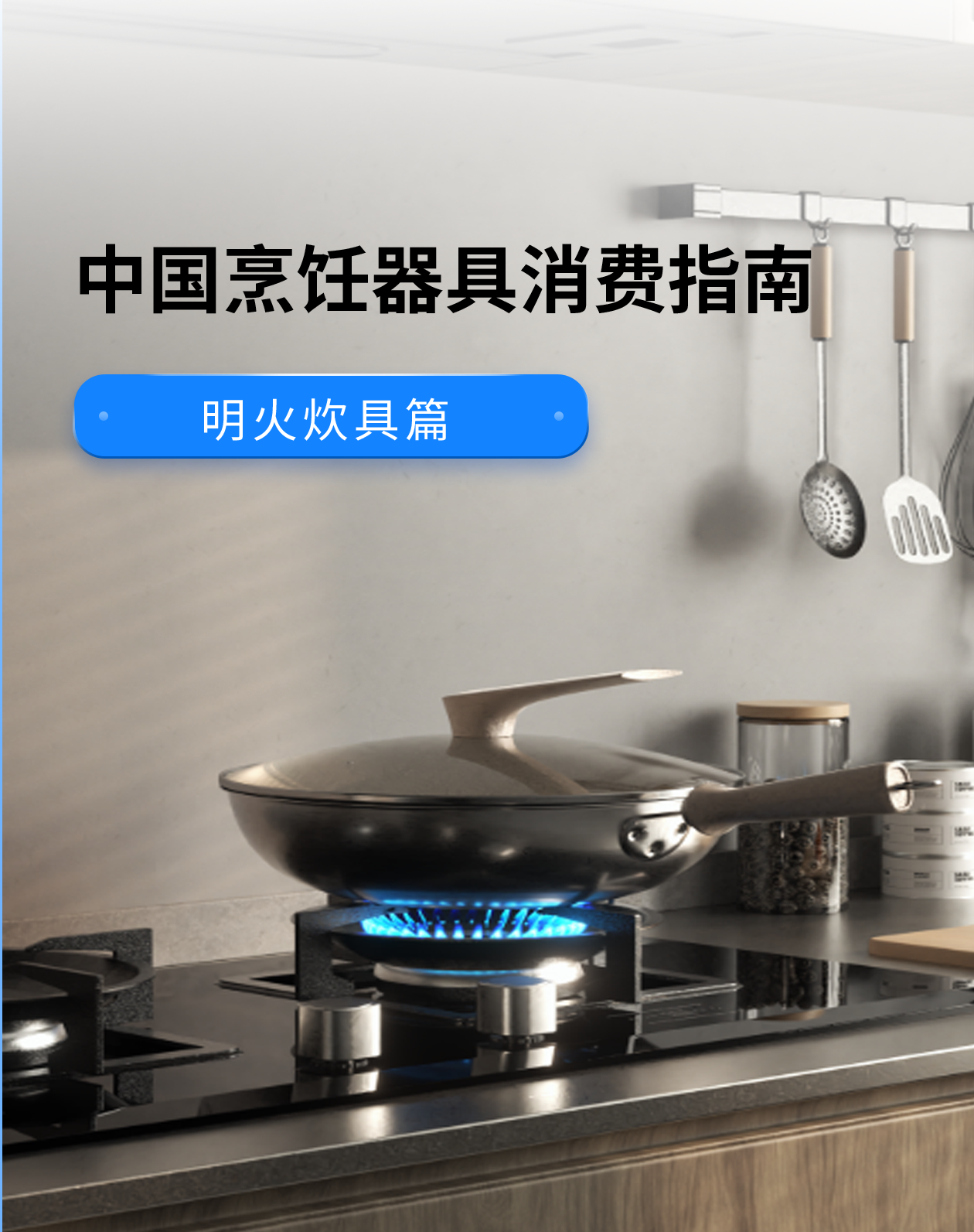 《中国烹饪器具消费指南（明火炊具篇）》权威发布